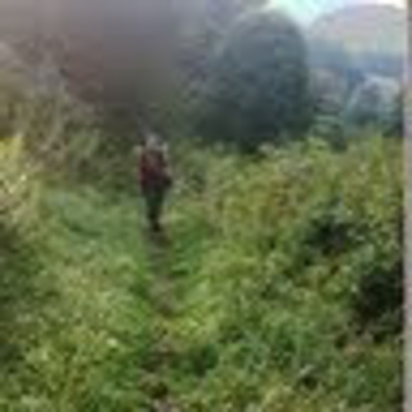 Meet your Posher, Lisa - Picture 1 of 1